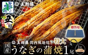 099H3443-1d 【7/26土用の丑の日】五郎藤 関西風地焼き 国産有頭旨鰻 250g×1尾 計約250g 【贈答用 特大 うなぎ ウナギ 蒲焼き 炭火】