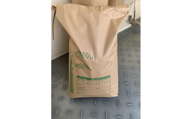 1261.＜令和７年産＞ たかた農園のお米「きぬむすめ」はでかけ　天日干し【精米10kg】 313726_CR001