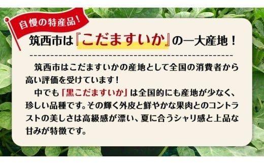 【 JA北つくば 】 黒こだますいか 「 誘惑のひとみ 」 1玉 2026年産 スイカ 果物 フルーツ 小玉スイカ 小玉 西瓜 くだもの デザート 茨城 [AE056ci]