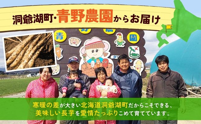 北海道産 青野農園 土つき 長いも 約5kg 5～7本 2026年11月下旬～1月中旬ごろお届け 先行予約 ながいも 土付き 北海道 長芋 自然薯 とろろ いも イモ 旬 野菜 農作物 産地直送 お取り寄せ 根菜