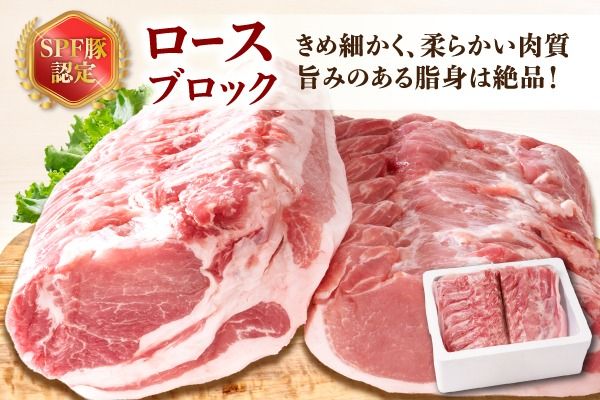 山形県庄内SPF豚 最上川ポークロースブロック 4kg（2kg×2）国産 豚肉 冷蔵便