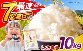 長崎県産 精米 にこまる10kg / 南島原市 / 大松屋商店 [SDR005]