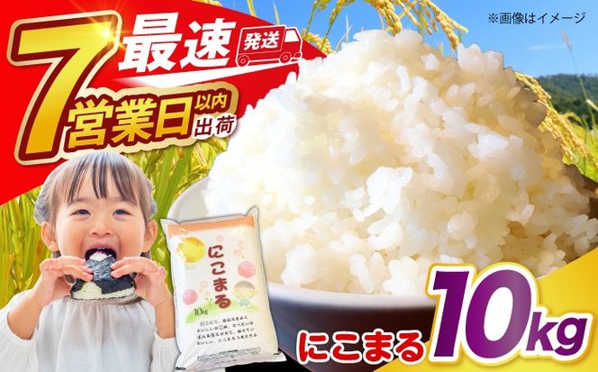 長崎県産 精米 にこまる10kg / 南島原市 / 大松屋商店 [SDR005]