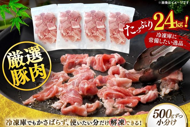 北海道産 豚肉 豚こま切れ 小分け 2kg ( 500g × 4P ) 12回 定期便 総計 24kg [スターゼン 北海道 砂川市 12260979 ] 小間切れ 豚 国産 冷凍