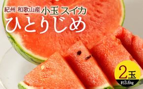 G7077_紀州 和歌山産 小玉 スイカ 「ひとりじめ」 2玉
