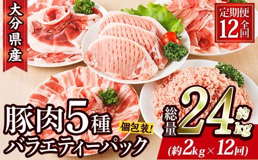 ＜定期便・全12回 (毎月)＞ 豚肉 バラエティーパック (2kg×12回・総量24kg) 豚バラ しゃぶしゃぶ 鍋 とんかつ ロース 小分け 個包装 豚こま 小間切れ スライス ミンチ 5種 セット 詰め合わせ 冷凍 食べ比べ 国産 大分県 佐伯市【BD323】【西日本畜産】