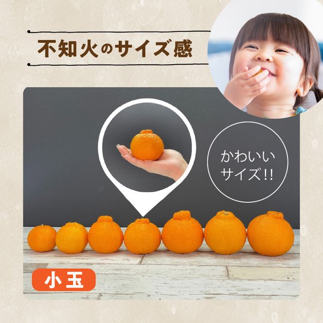 MK1015_不知火 (しらぬい) とにかく小玉 箱込 10kg (内容量約9.2kg) 秀品 優品 混合