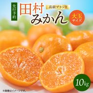 G7052_【2026年11月下旬より発送】高級ブランド 田村みかん 10kg 大玉サイズ