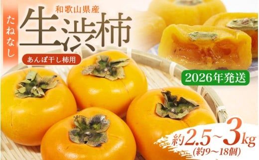 【県認定エコファーマー】甘さが違う！とっても甘くなる生渋柿（平たねなし柿）あんぽ柿用 T軸枝無 約2.5〜3kg 約9〜18個 １０月下旬〜順次発送-AP【art041】