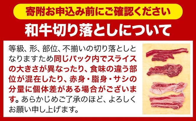 牛肉 肉 国産牛 切り落とし ホルスタイン 大容量 小分け 600g～1.8kg 1パック 300g 定期便 有 3ヶ月 6ヶ月 《出荷時期をお選びください》岡山県産 岡山県 矢掛市 お肉 にく カレー 牛丼 牛肉 切り落し 小分け 切落し 牛肉 小分け 牛肉---ofn_fokg_30d_25_8000_600g---