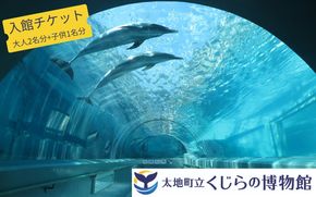 太地町立くじら博物館　入館チケット大人2名+子供1名/チケット 入館券 博物館 くじら 鯨【kzr003】