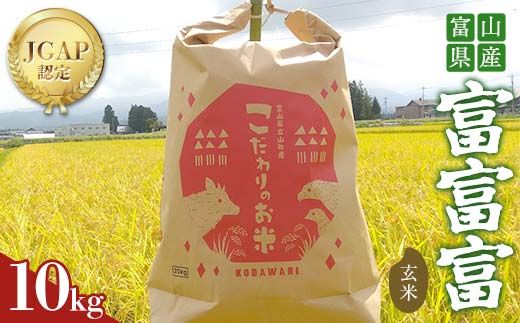 《数量限定》令和7年度産 富富富 玄米 10kg 米 お米 新米 ごはん おにぎり 富山 立山 北アルプス 健康志向 JGAP認定 F6T-847