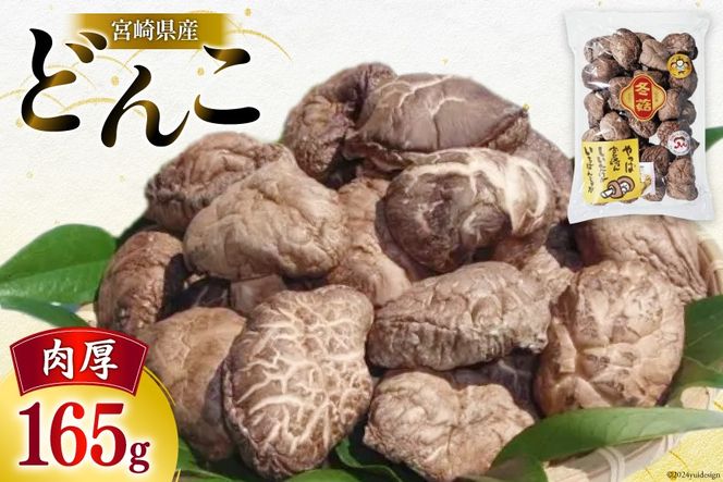 y{茧z{茧Y ő Mtg ǂ uTD-20v 165g  [cX {茧  31ac0059]  ő  Y BY {茧Y Mtg 蕨 p v[g ̓ ̓ ƒp  I ς ϕ ϕt