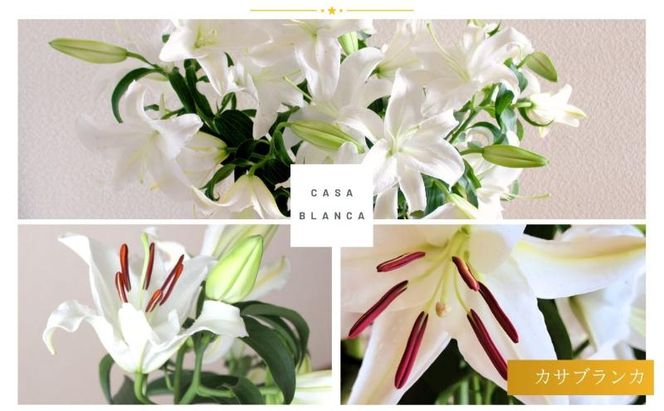カサブランカ(規格外品)10本束(5本束×2) 花 お花 規格外 花束 切り花 新潟県 十日町市