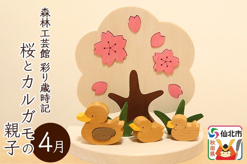 彩り歳時記4月 桜とカルガモの親子[あきた芸術村 森林工芸館]|02_wrb-031601