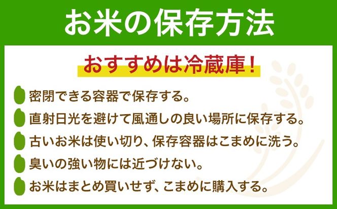 白米 5kg 10kg さこんたろう《90日以内に発送予定(土日祝除く)》熊本県 御船町 コメ おこめ 白米 ごはん 熊本県産---mifune_skt_1_5kg---