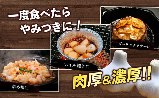 鮮度抜群！土付きにんにく 5kg 野菜 根菜 