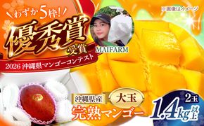 【先行予約】【優秀賞受賞】沖縄県産 完熟マンゴー 大玉 2個入り マンゴー 沖縄 果物 フルーツ ギフト 沖縄市 / MAIFARM[BCAN006]