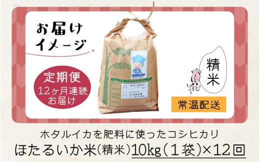 【訳あり】ほたるいか米（精米10kg）×12回 計120kg【12ヶ月定期便】