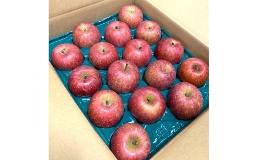 【射水のおいしい果実】【林檎】くろだ農園の池多りんご 5kg大玉（14～16個／箱） ※離島・沖縄県への配送不可 ※2025年11月下旬～2026年1月中旬頃に順次発送予定