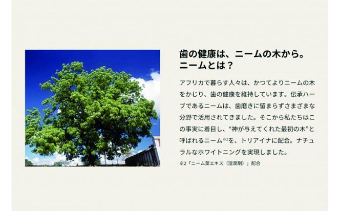 【ハーブフレーバー】薬用 BIOホワイトニングジェル(朝用)＆薬用BIOホワイトニング ジェル(夜用)　２本セット 141305_LU05