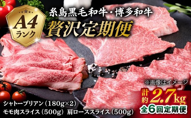 【全6回 定期便 】A4 ランク 博多 和牛 シャトーブリアン 180g×2枚 & A4 ランク 糸島 黒毛 和牛 肩ロース 500g & モモ肉 500g 糸島市 / 糸島ミートデリ工房 [ACA107] すき焼き 定期便 切り落とし しゃぶしゃぶ ステーキ 焼肉 赤身 黒毛和牛 国産