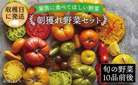 朝採れ!糸島野菜セット(10品前後) [糸島][オーガニックナガミツファーム] [AGE003] 野菜セット 野菜 やさい サラダ 詰め合わせ トマト とまと 野菜野菜セット 野菜やさい 野菜サラダ 野菜詰め合わせ 野菜トマト 野菜とまと 野菜ベビーリーフ 野菜水菜 野菜ハーブ 野菜オクラ 野菜人参 野菜にんじん 野菜ニンジン 野菜ほうれん草 野菜クレソン 野菜かぼちゃ 野菜カボチャ 野菜じゃがいも 野菜玉ねぎ