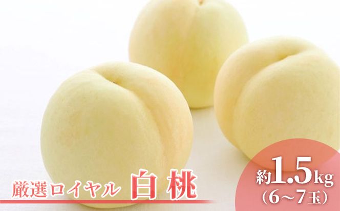 【2026年先行予約】 桃 ぶどう 晴れの国 岡山の恵みギュギュッ！ ～桃もぶどうも楽しむプラン～ ( 白桃 ・ アレキサンドリア ）《2026年6月下旬-7月下旬頃出荷》 もも モモ 葡萄 ブドウ 里庄町 数量限定