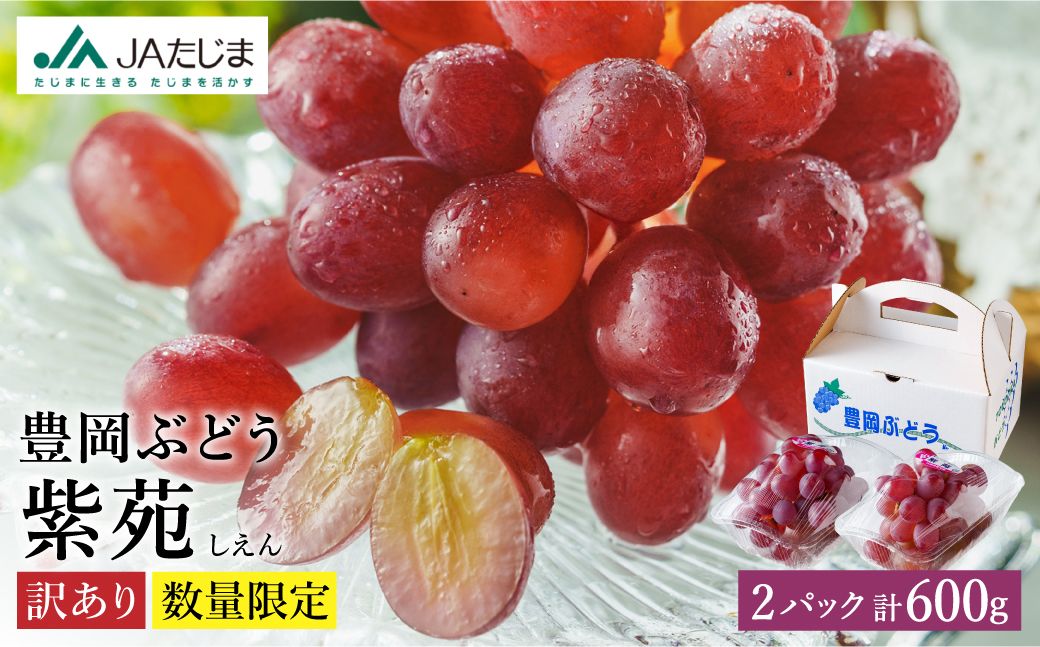 数量限定 訳あり 豊岡ぶどう「紫苑」 約300g×2パック/ 紫苑 しえん ブドウ 葡萄 訳ありぶどう 大粒 強い甘み 爽やかな酸味 新鮮 果物 産地直送 くだもの フルーツ 上品 香り