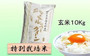 特別栽培米 【 令和8年産 】 玄米 10kg 【 ミルキークイーン 】