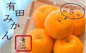 紀州 有田みかん 秀品 5kg サイズおまかせ(Ｌ・М・Ｓ) ※2026年11月下旬～2027年1月中旬頃順次発送予定 ※北海道・沖縄・離島への配送不可【sml004-r-5B】