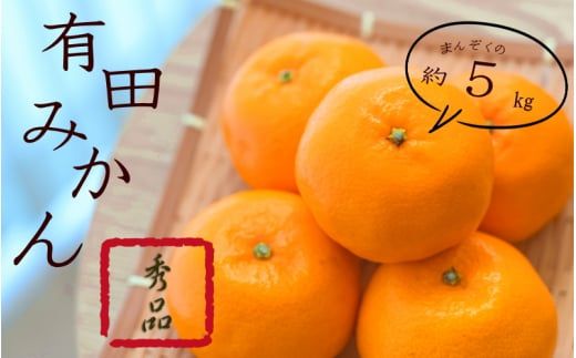 紀州 有田みかん 秀品 5kg サイズおまかせ(Ｌ・М・Ｓ) ※2026年11月下旬～2027年1月中旬頃順次発送予定 ※北海道・沖縄・離島への配送不可【sml004-r-5B】