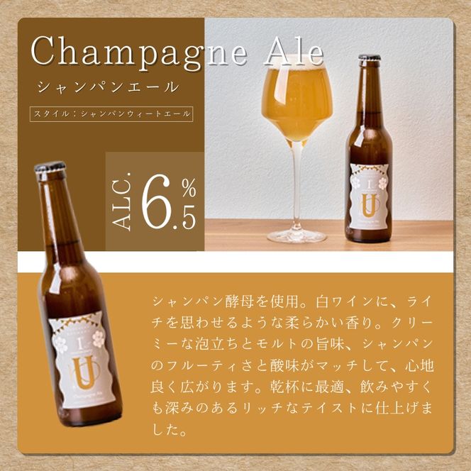 クラフトビール飲み比べ6本箱入りセット 