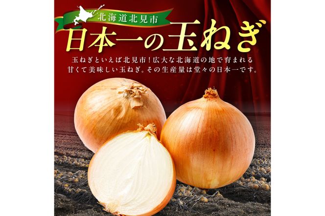 【予約：2025年12月から順次発送】北見市産玉ねぎ使用 玉ねぎハンバーグ 150g×10個 ( 肉 加工品 たまねぎ タマネギ 焼肉 小分け )【224-0011】