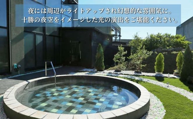 十勝ナウマン温泉 ホテルアルコ 入浴券14枚【 ナウマン 温泉 ホテル アルコ  チケット 温泉利用券 入浴券 日帰り 旅行 観光 ギフト 北海道 十勝 幕別 】