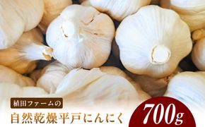 植田ファームの自然乾燥平戸にんにく700g 〈2026年6月10日～2026年10月31日〉700グラム ニンニク ガーリック おつまみ お酒 料理 醤油漬け ガーリックオイル ペペロンチーノ パスタ スパゲッティ 高知県 土佐市【株式会社植田ファーム】[BQAT004]