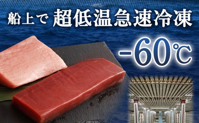 厳選天然本マグロ中トロ・赤身食べきりセット【４００ｇ】　ge010