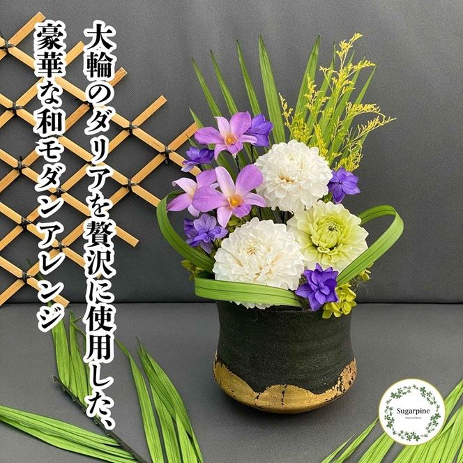 yʌtszvU[uht[@_iق܂j@ts@VK[pC(AJ263)