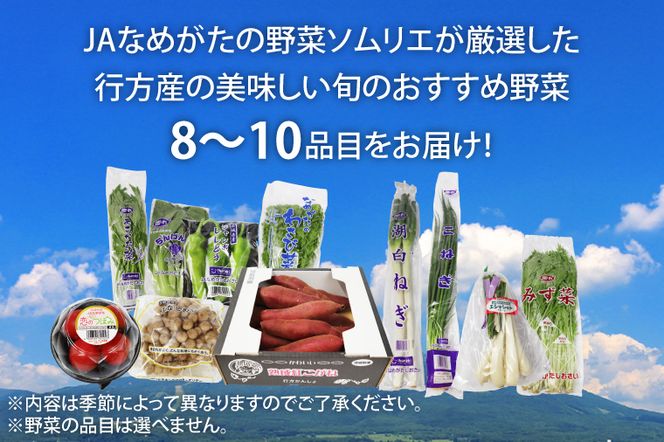 【『行方かんしょ』入り】JA　季節の野菜＆芋焼酎（AE-5）