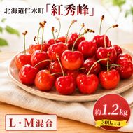 2027年発送 北海道 仁木町産 さくらんぼ 紅秀峰 1.2kg (300g×4パック) L-Mサイズ 混合 旬 桜桃 産地直送 サクランボ チェリー フルーツ 果物 果物類 仁木町 仁木 [松山商店]