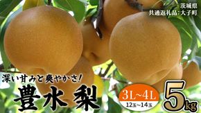 茨城県産 梨 豊水 サイズ おまかせ （ 3L～4L ） 5kg （ 12～14玉 ） 【2026年9月上旬発送開始】 (茨城県共通返礼品：大子町) 梨 なし ナシ 果物 くだもの 季節 フルーツ デザート 旬果