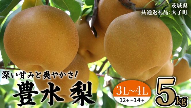 茨城県産 梨 豊水 サイズ おまかせ （ 3L～4L ） 5kg （ 12～14玉 ） 【2026年9月上旬発送開始】 (茨城県共通返礼品：大子町) 梨 なし ナシ 果物 くだもの 季節 フルーツ デザート 旬果