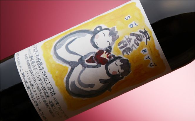 蒼龍葡萄酒　酸化防止剤無添加　蒼龍コンコード　赤　720ml　2本セット 【kw0134-0074】