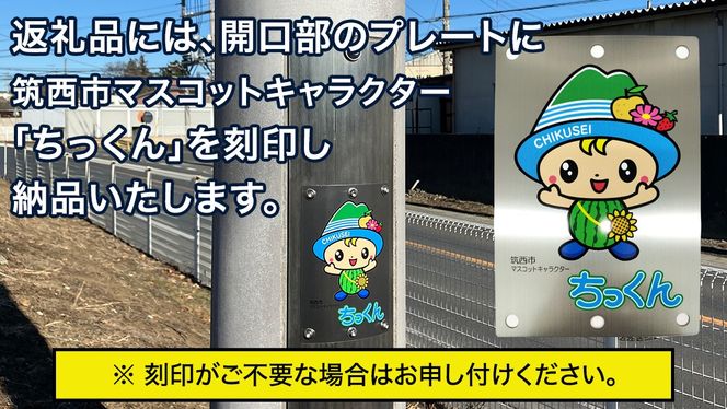 【事前問い合わせ必須】屋外照明用ライトポール LP6.5-18-1.7（8K) 大型 ライトポール 街路灯 景観照明 照明 高耐久 茨城県 筑西市 ちっくん [EV001ci]