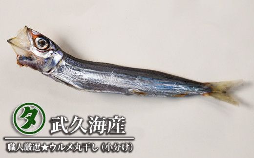 職人厳選 ウルメ丸干し小分け（4尾×12袋）鰯 いわし おつまみ 
