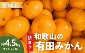 家庭用 有田みかん 和歌山 訳あり わけあり 大玉(2L,3Lサイズ混合) 約4.5kg【11月上旬～1月下旬頃に順次発送】/ みかん フルーツ 果物 くだもの 有田みかん 蜜柑 柑橘【ktn011A】