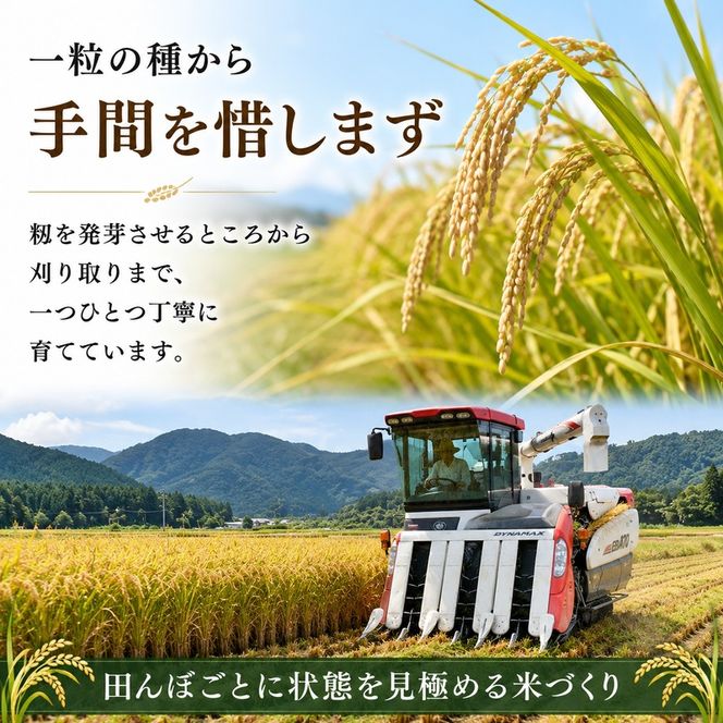 米 コシヒカリ 令和8年産 10kg 5kg×2袋 福井県産 若狭町産 白米 精米 一等米 単一原料米 ブランド米 銘柄米 こしひかり 10キロ お米 銘柄米 福井県 若狭町