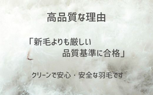 【13-5】ザ・羽毛布団 リサイクルダウン ロイヤルグリーン セミダブル 170×210cm リサイクルホワイトダックダウン70％ 羽毛 掛け布団 立体キルト　251-000372-20