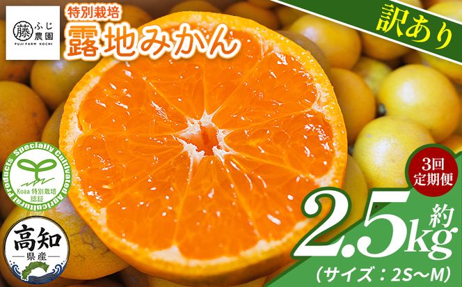 【3回定期便】ふじ農園の露地みかん 訳あり品 2.5kg(2S～M)  国産 小玉 蜜柑 ミカン 柑橘 果物 フルーツ 訳アリ ご家庭用 自宅用 ふじ農園 高知県 香南市 Wfn-0020
