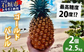 【先行予約2026年5月下旬ころから順次発送】最高糖度20度！？石垣島産完熟ゴールドバレル 2玉 約2.5kg